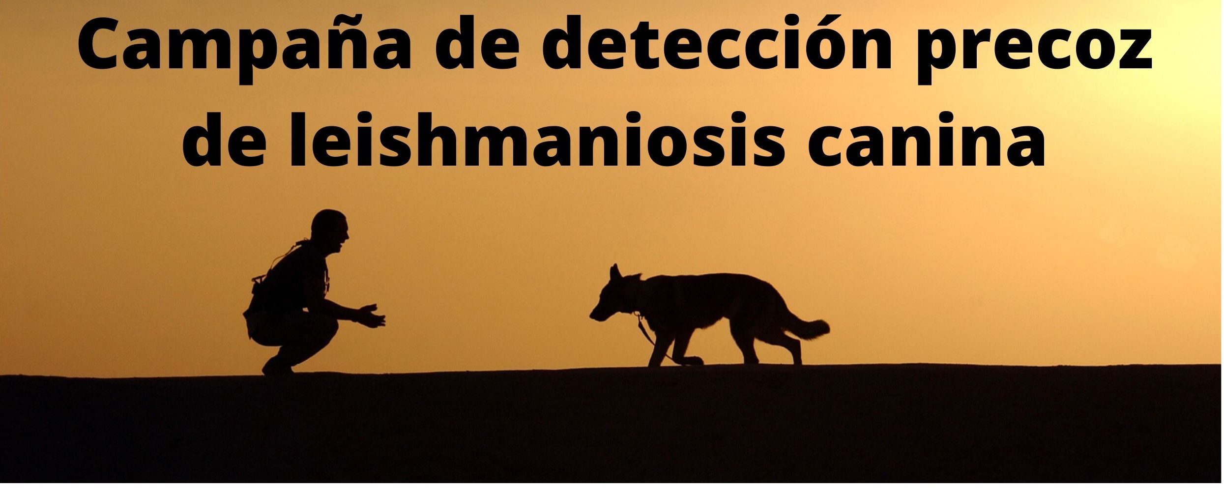 Campaña de detección precoz de leishmaniosis canina